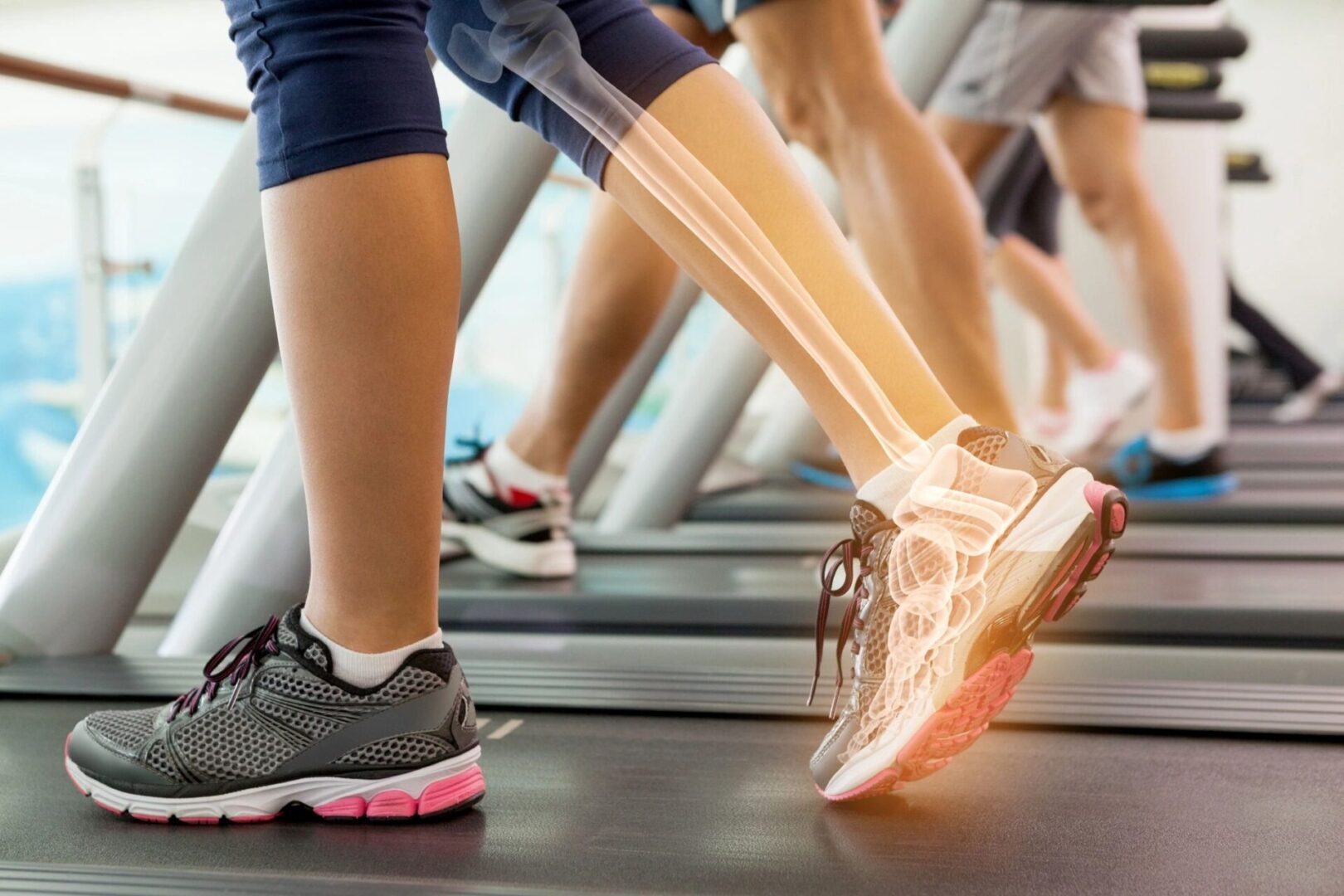 A group of people on treadmills in a gym.